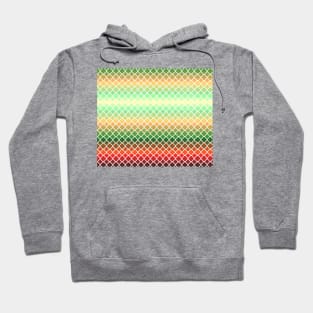 Yellow Orange Red Green Quatrfoil Hoodie